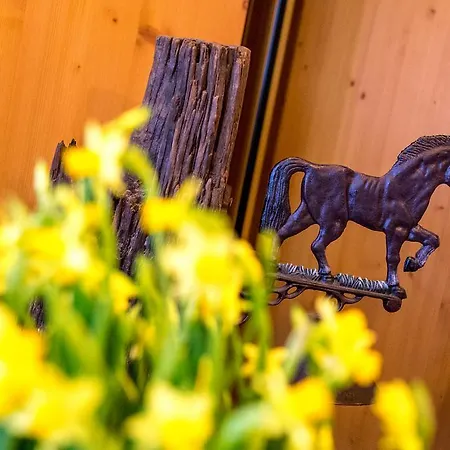 فندق Alpino Al Cavalletto 3*